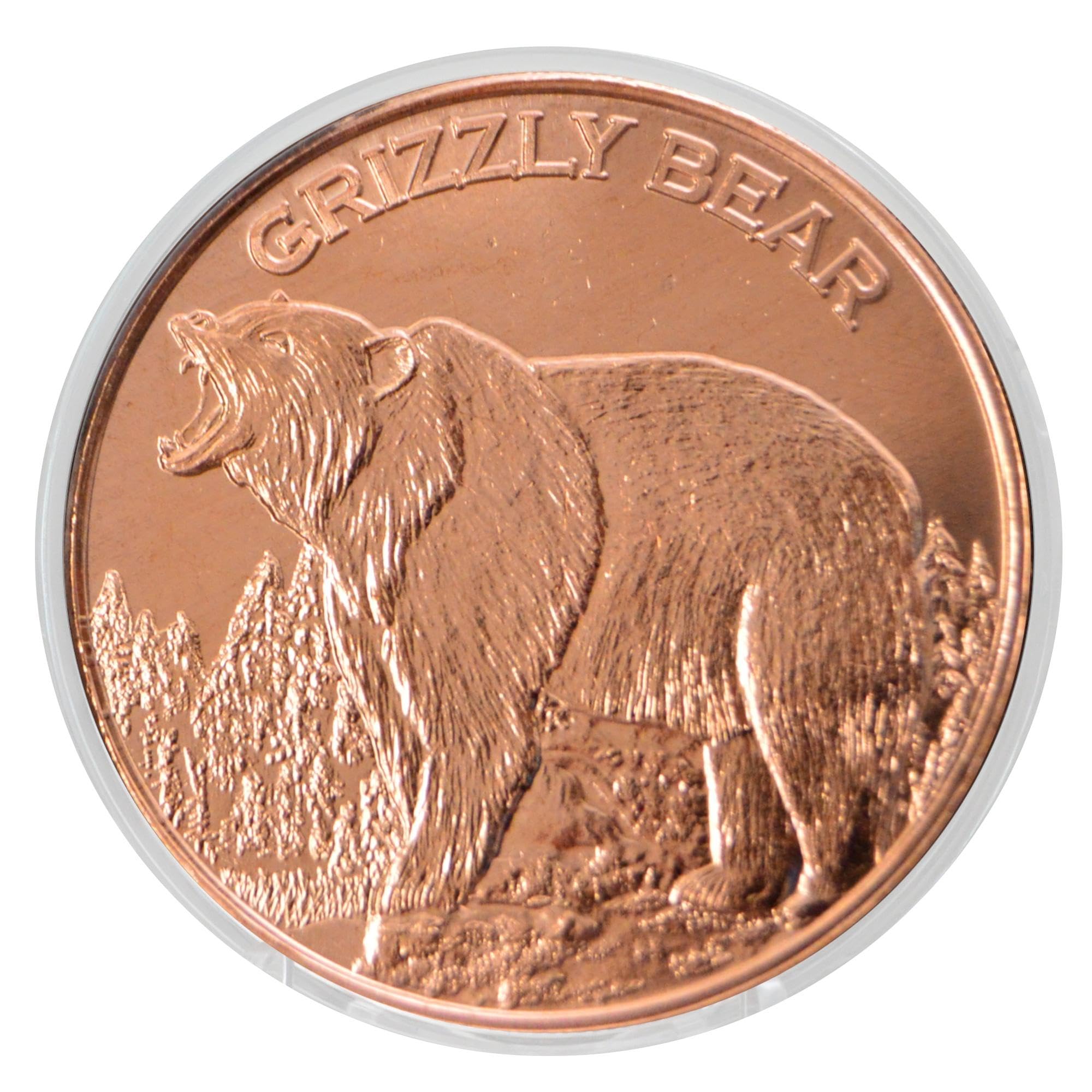 Amazon.com: Grizzly Bear Design 1 oz Pure Copper Round - .999 Fine